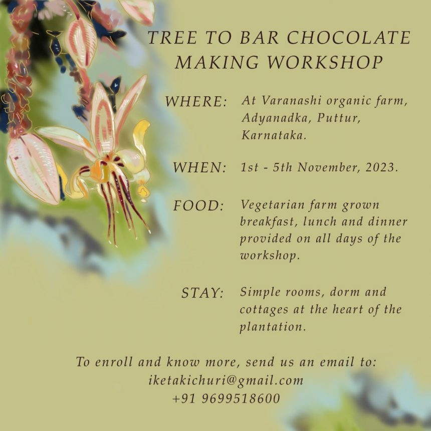 Tree to bar Chocolate making workshop